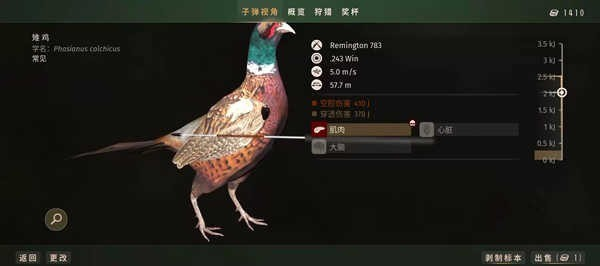狩猎之道中文版