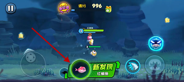 鱼吃鱼官方正版