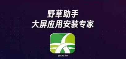 小草助手
