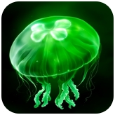 eggjelly官方版