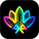 宝莲灯pro官方版