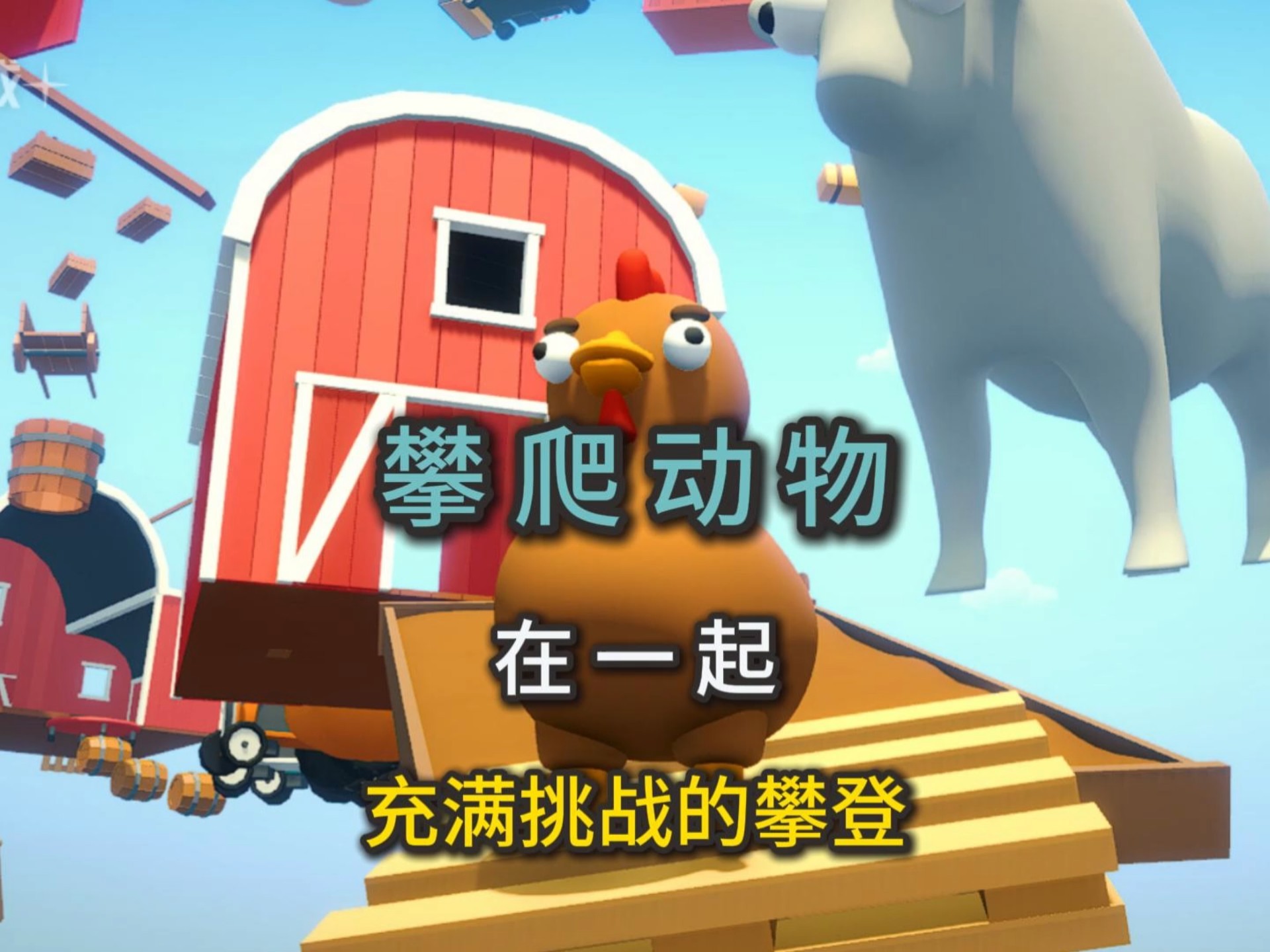 攀爬动物