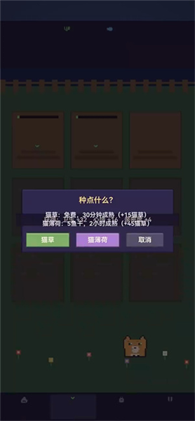 爱旅行的猫