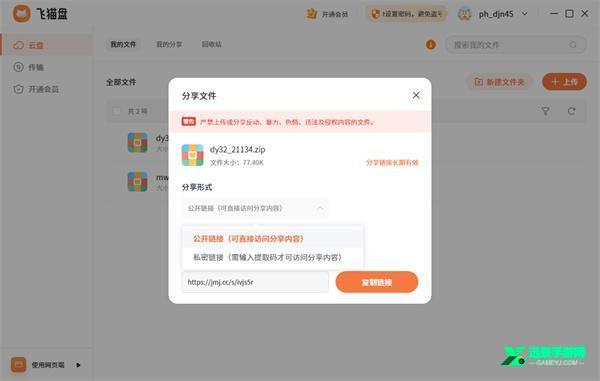 飞猫盘官方版