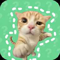猫meme语音盒