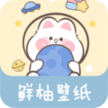 鲜柚壁纸纯净版