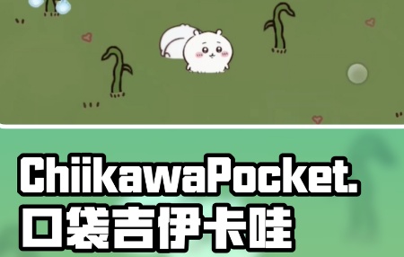 chiikawa pocket