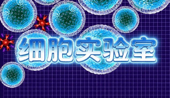 细胞实验室